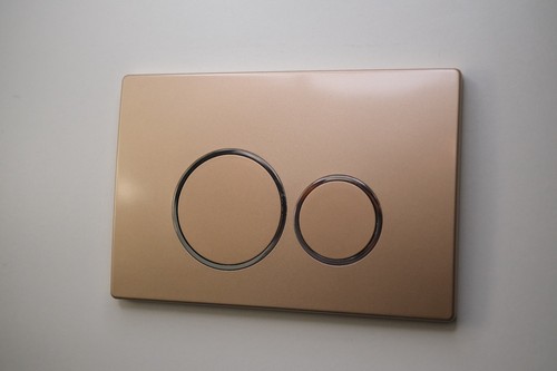 Gold abs flush - 3.3, plate