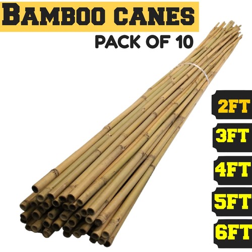 Bamboo garden canes - bamboo, thick