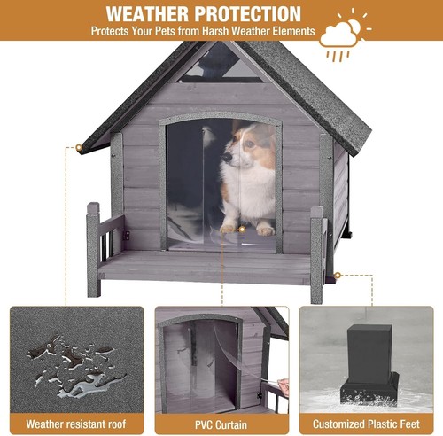 Zone pet dog - pet,