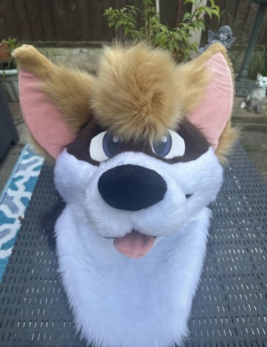 Fursuit head - fursuit,