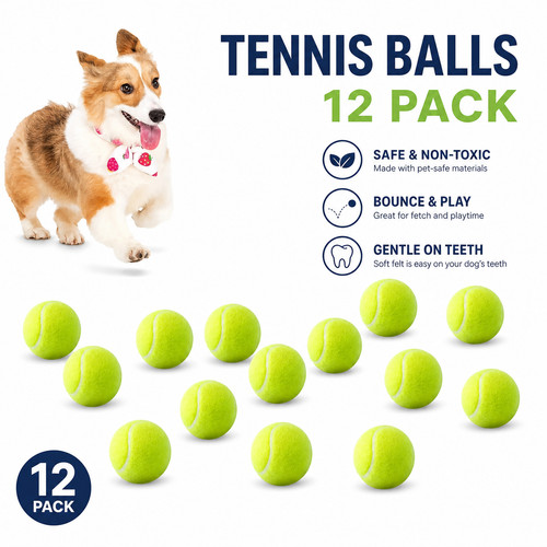 Pack dog tennis balls - balls, 2