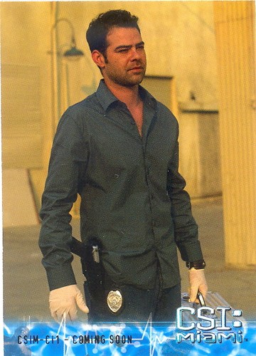 Csi miami series 2004 - miami,