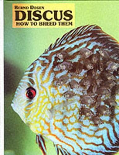 Discus how breed them by - how, to