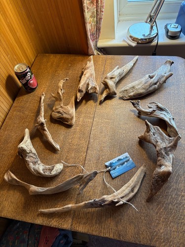 Driftwood pieces long - driftwood, x