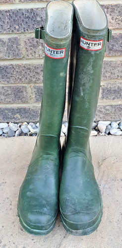 Hunter wellies tall - wellies, in