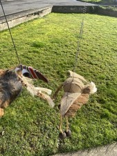 Birds Hanging Mobile Drift