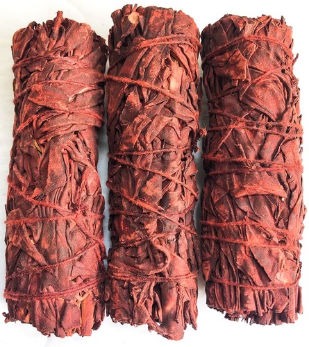 Dragons blood sage - pk,
