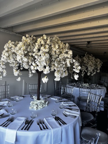 Blossom tree wedding - tree,