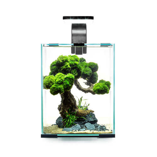 Aquael shrimp tank set led - shrimp,