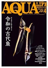 AQUA LIFE April 2025 Magazine Japan Ancient Fish Polypterus Black Arowana