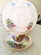 Cottage Garden quality Royal