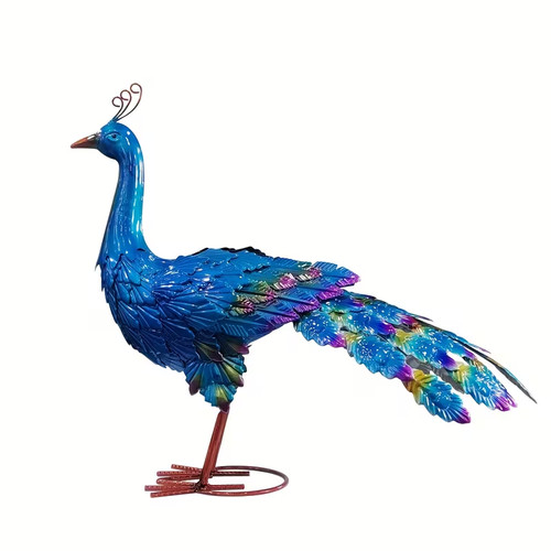 Small blue peacock - small, garden