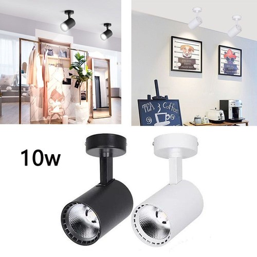 Led spotlight downlight - downlight, 10w