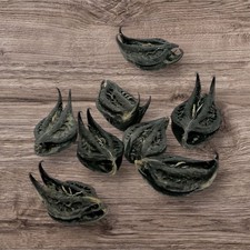 7 x Devil’s Pod, Bat But