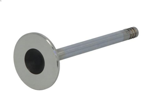 Exhaust valve trw trw1125 - trw, bmw