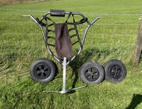 Flexi foil kite - flexi,