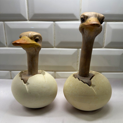 Vintage 1970s hatching ostrich - vintage,