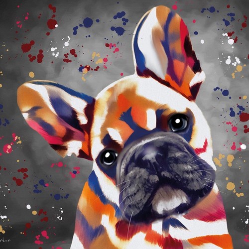Colourful french bulldog - colourful,