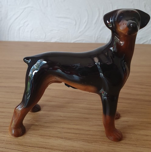Gorgeous coopercraft doberman - gorgeous,