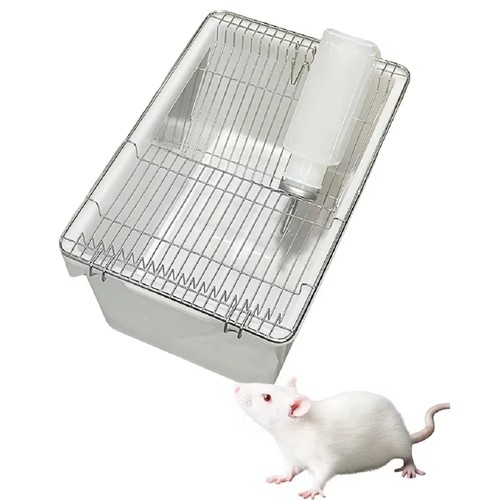 Mouse rat rodent cage with - cage,