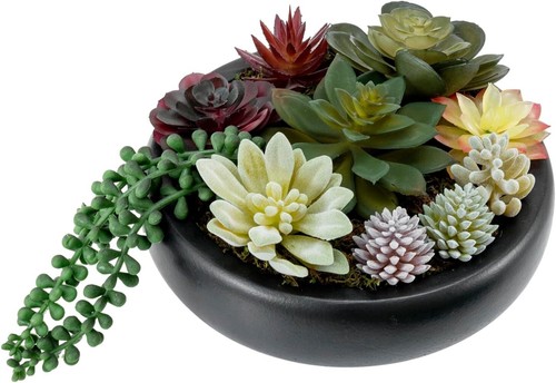 Inch black plastic - 8-inch,