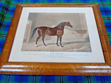 Original C 19th Framed Horse