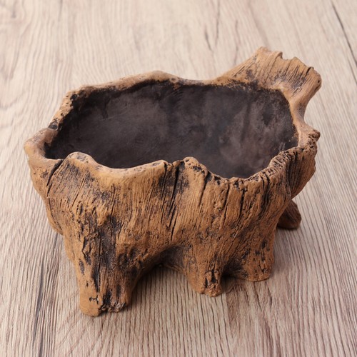 Concrete flower pot succulent - flower,