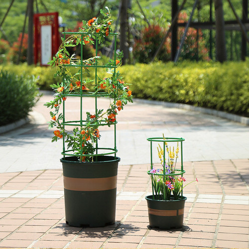 Sturdy plastic plant support - plastic,