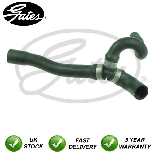 Hose - -, cooler)