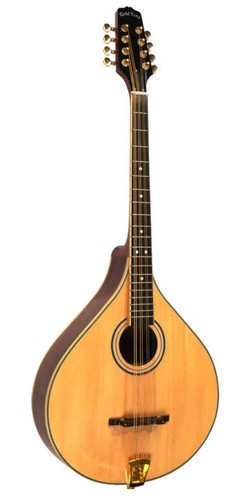 Gold tone octave mandolin case - gold,