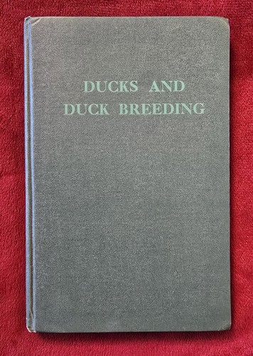 Vintage book ducks and duck - ducks,