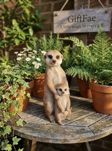 Meerkat mum baby garden - mum,