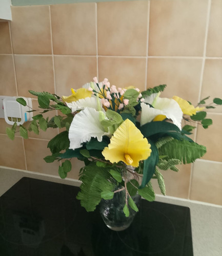 Calla lilies yellow - lilies, white