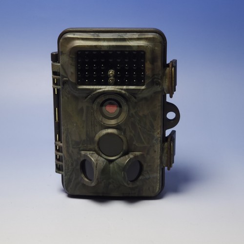 Wildlife trail camera - wildlife,
