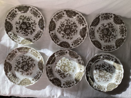 Ridgway 17cm windsor plates - x6,