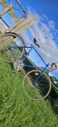 Kalkhoff trident speed - kalkhoff, 10