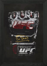 UFC Glove Art Framed Wall Art