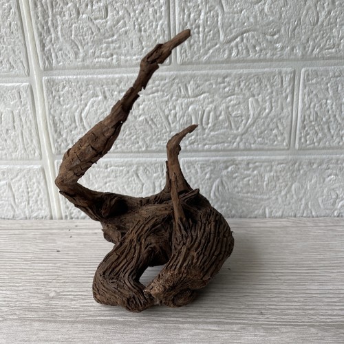 Bogwood driftwood fish tank - fish,