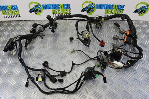 Kawasaki wiring loom - 10,