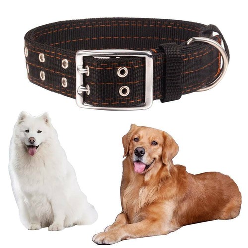 Heavy duty adjustable dog - duty,
