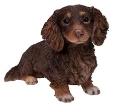 Vivid Arts Long Haired