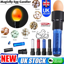 LED Egg Candler Cool Light Egg