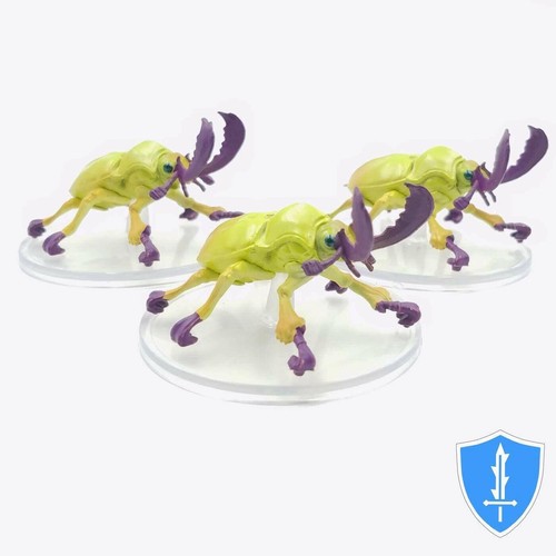 Giant stag beetle - giant, x3