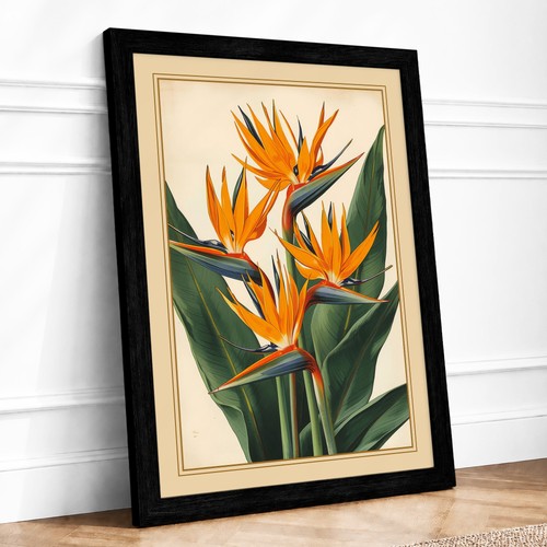 Bird paradise bloom - paradise,