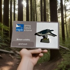 RSPB-Pin Badge GNAH  GOSHAWK