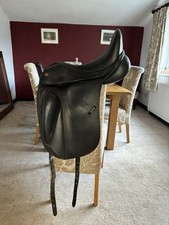 Kent Masters High Wither Black