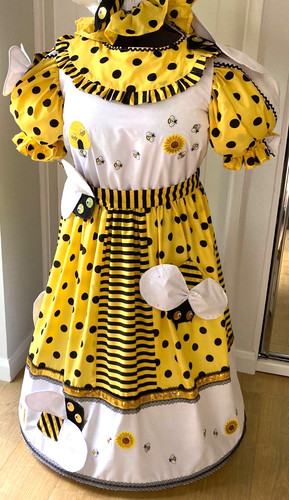 Pantomime dame costume - dame,