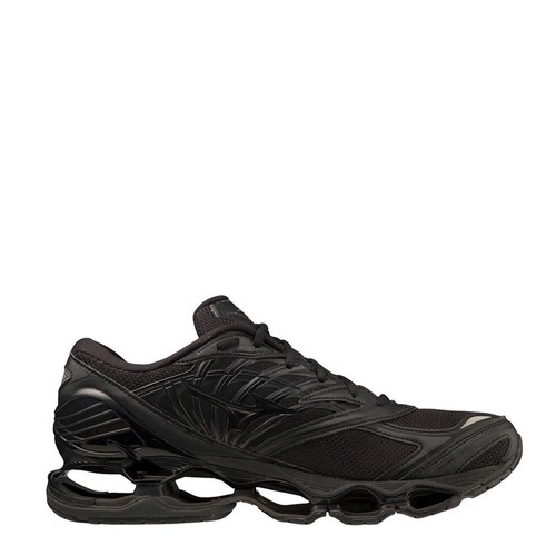 Mizuno wave prophecy - mizuno,
