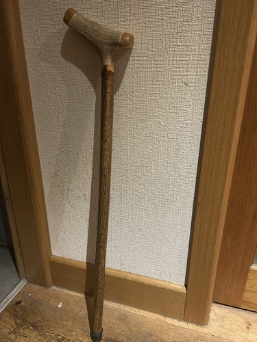 Walking stick with horn - horn, handle