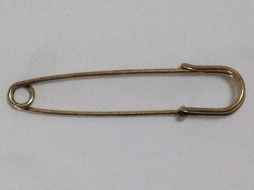 Brass tone stock tie - pin, horse